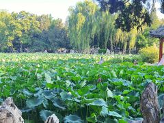 -莲池书院博物馆