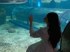 -福州罗源湾海洋世界旅游区