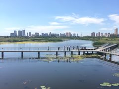 -哈尔滨大剧院