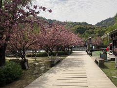 -白马涧龙池景区