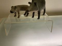 -旅顺博物馆