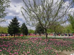 -长春公园(普阳街道)