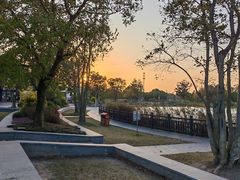 -上海长兴岛郊野公园