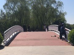 -大兴滨河森林公园