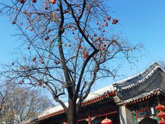 -白家大院·王府宫廷菜(苏州街店)