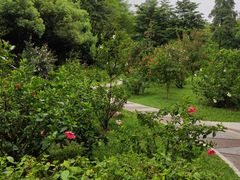 -云溪植物园