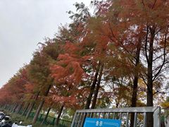 -秀沿路(地铁站)