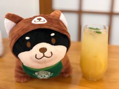 -豆柴町-柴犬主题狗咖(红鼎国际C座店)