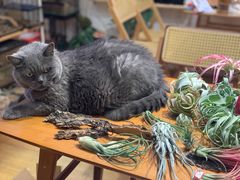 -Rabbit Cafe私房西餐甜点咖啡(栖霞路店)