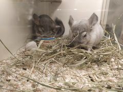 -龙猫仔乐园(惠福东路店)