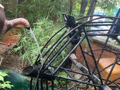 -园林美食城·本土农家菜(杨和镇店)