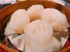 添运来虾饺皇-添运来(茶园奥园广场店)