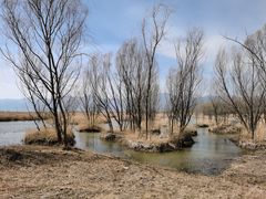 -野鸭湖国家湿地公园