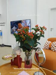 -JNK皮肤管理中心