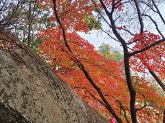 -丹东凤凰山景区