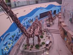 -陕西自然博物馆