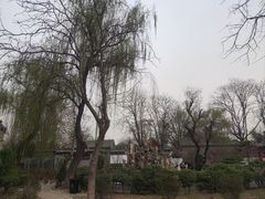 -荣国府