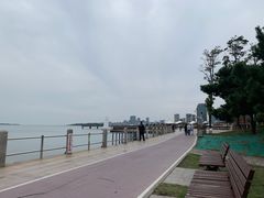 -青岛贝壳博物馆