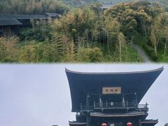 -大唐贡茶院