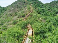-大岭沟猕猴桃谷风景区