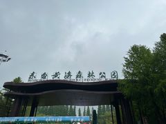 -黄海国家森林公园