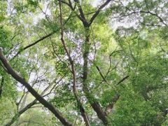 -晓港公园