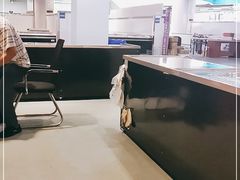 -渔人湾码头海鲜市场负二楼