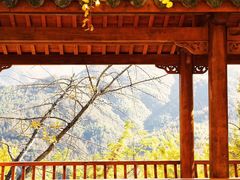 -花溪风景区