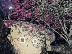 -南靖田螺坑土楼群景区