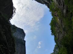 -一只烧鸡公(解放碑店)