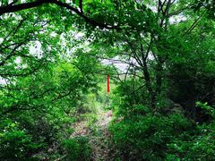 -北京西山国家森林公园