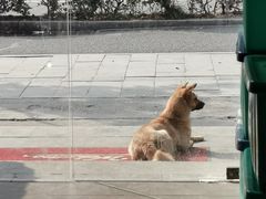 -臭桂鱼儿特色餐厅(朝晖七小区北区店)