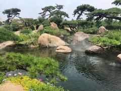 -罗红摄影艺术馆