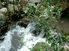 -藏龙百瀑风景区
