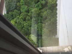 -新湖明珠城