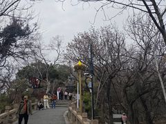 -灵岩山风景区
