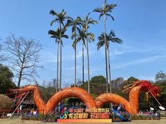 -广州市白云山风景名胜区