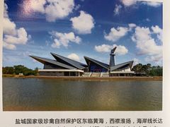 -盐城丹顶鹤湿地生态旅游区