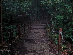 -武吉知马自然保护区