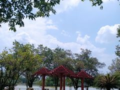 -番禺大夫山森林公园