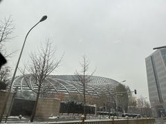 -凤凰中心
