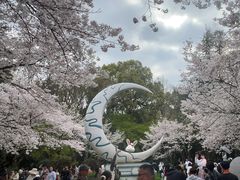 -杭州少年儿童公园
