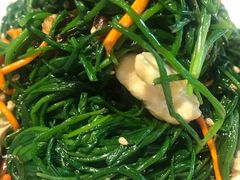 果仁野沙葱-九十九顶毡房(阜石路店)