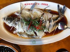 翘嘴白鱼-丹江渔村(望京店)