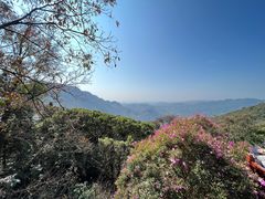 -广州市石门国家森林公园