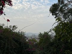 -仙岳公园