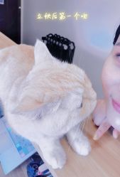 -齐伽生活馆·瑜伽·普拉提·阿育吠陀