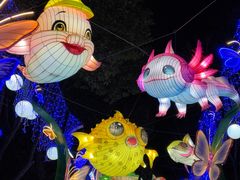 -武汉园博园(武汉自然博物馆)