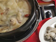 -花苑美食横琴生蚝火锅(拱北粤华路店)