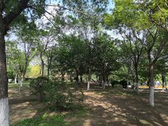 -丁香湖公园